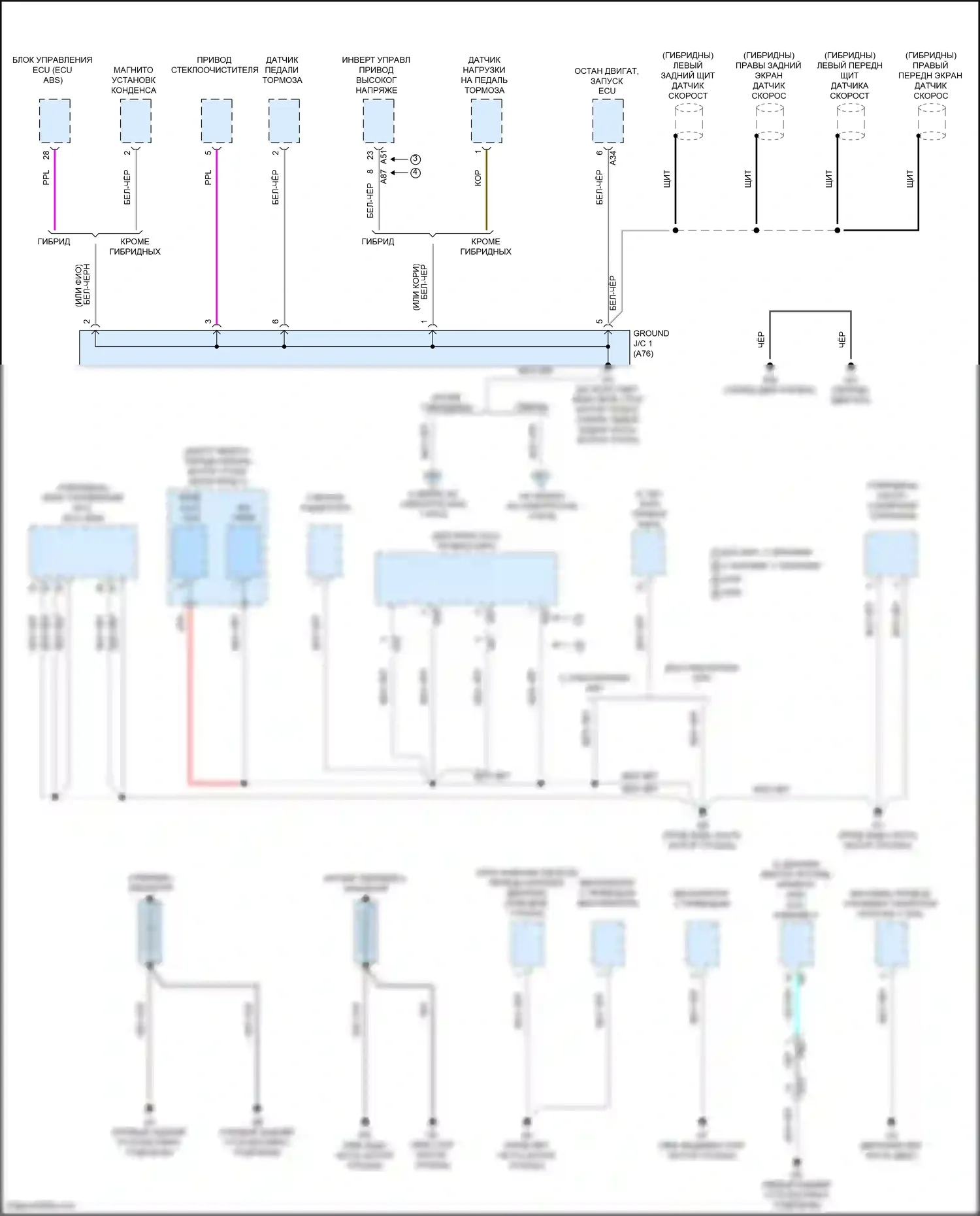 RAV4 Toyota V (2018-2024): Электросхема разводки массы (1 из 8) 