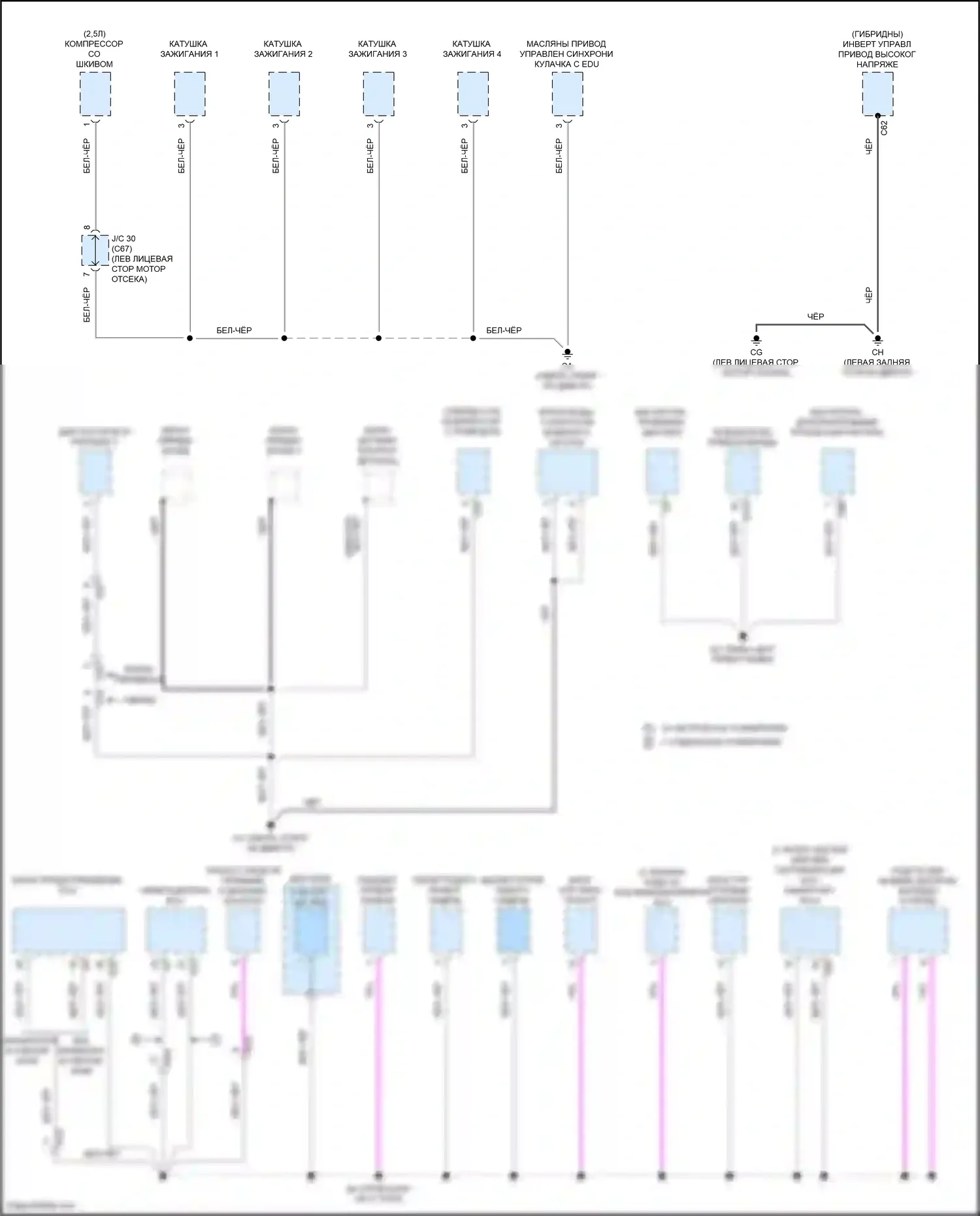 RAV4 Toyota V (2018-2024): Электросхема разводки массы (3 из 8) 