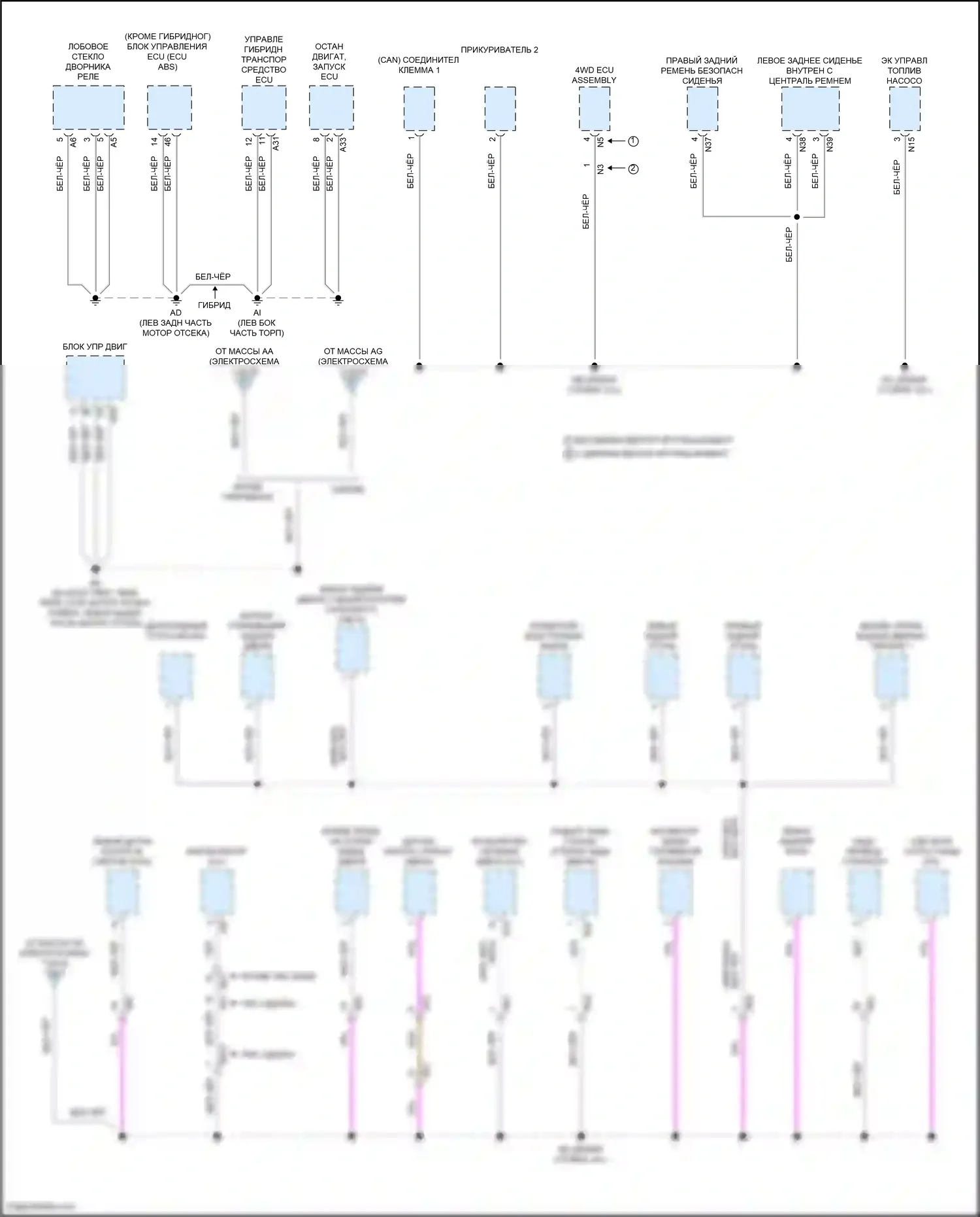 RAV4 Toyota V (2018-2024): Электросхема разводки массы (8 из 8) 