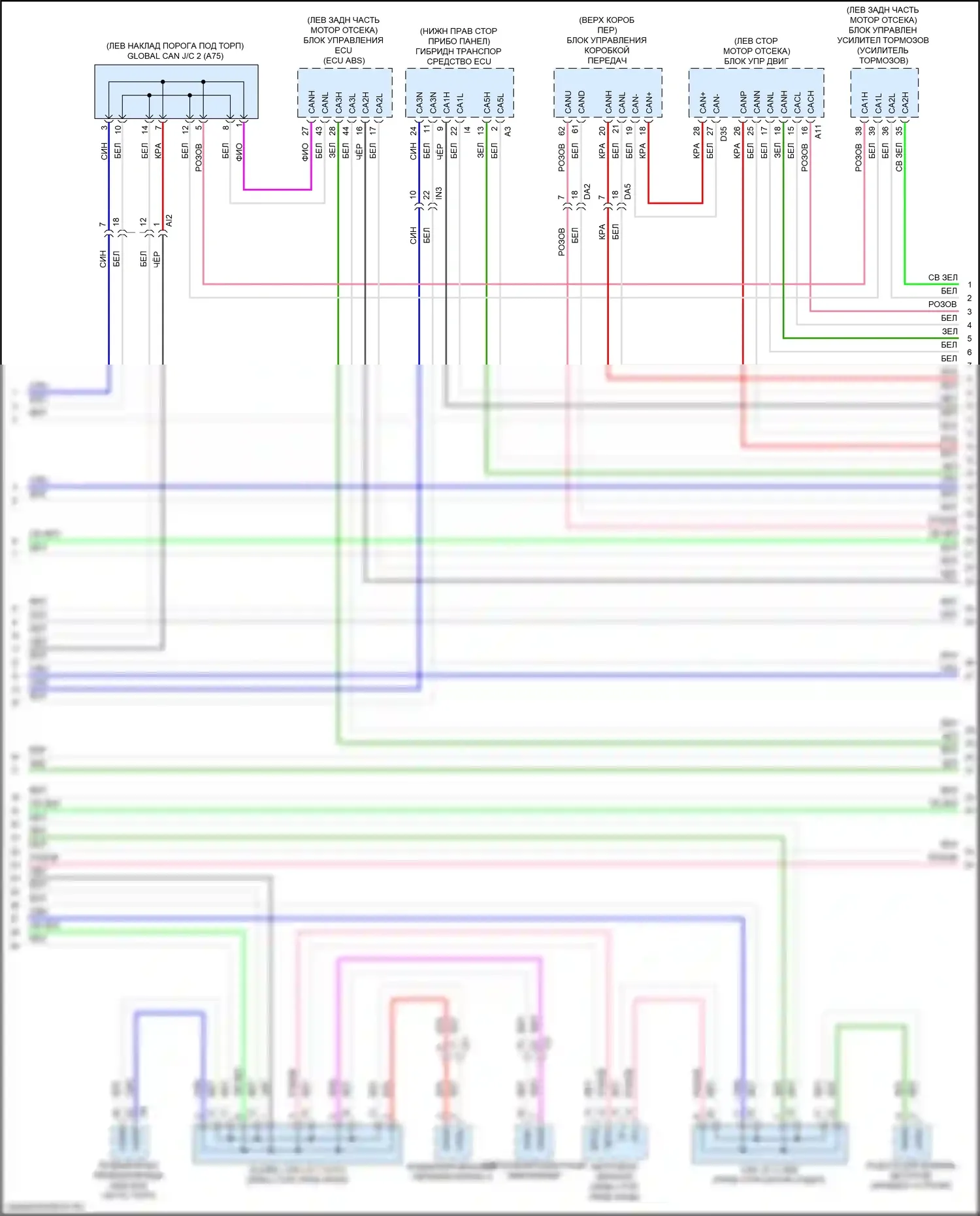 Sequoia Toyota III (2022-2024): Can шина электросхема (5 из 6) 