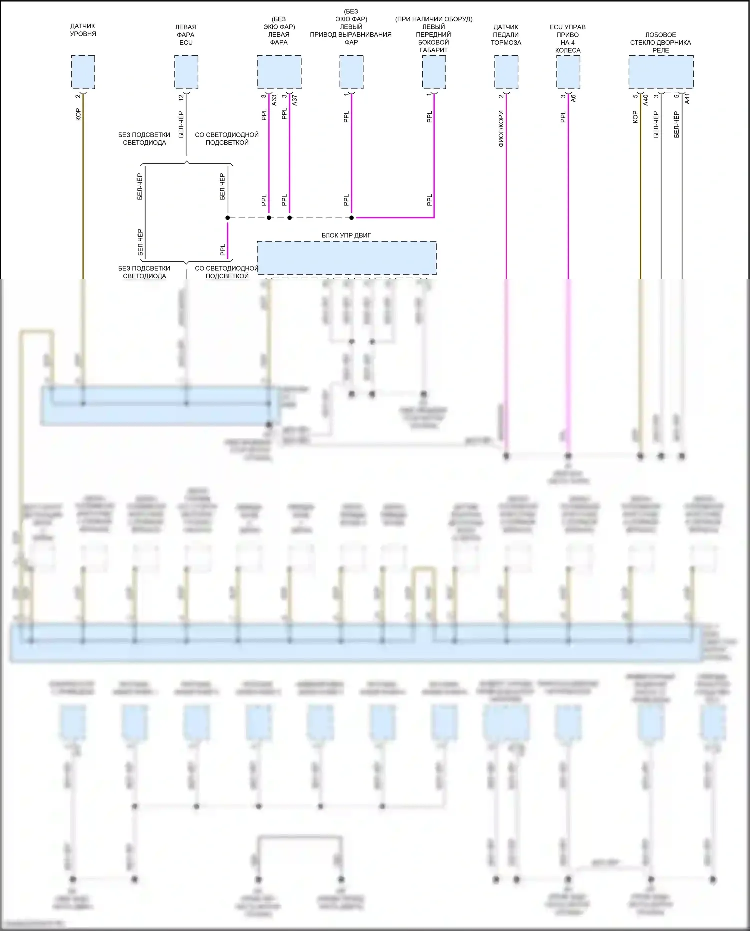 Sequoia Toyota III (2022-2024): Электросхема разводки массы (1 из 7) 