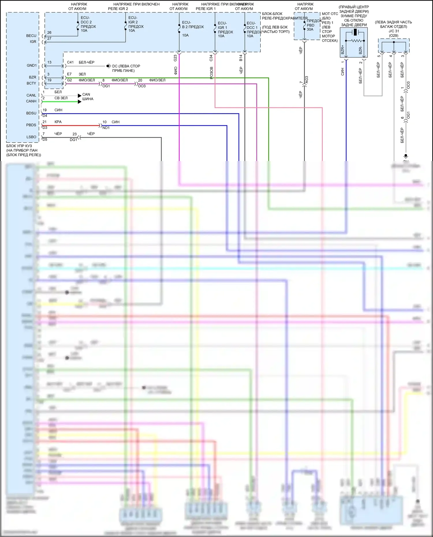Sienna Toyota IV (2020-2024): Электросхема электромеханического замка задней двери с задней дверью (1 из 2) 