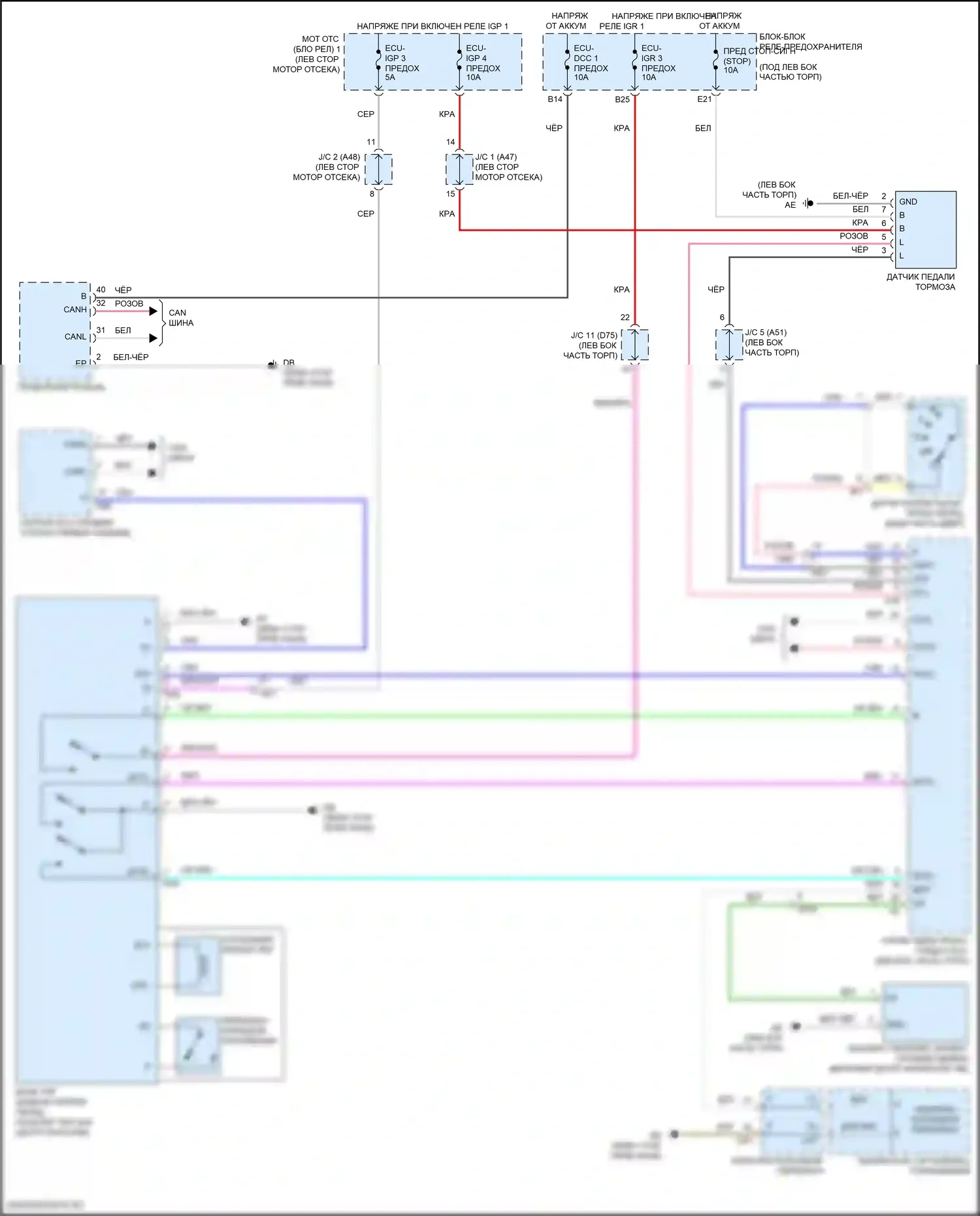 Sienna Toyota IV (2020-2024): Электросхема блокировки селектора 