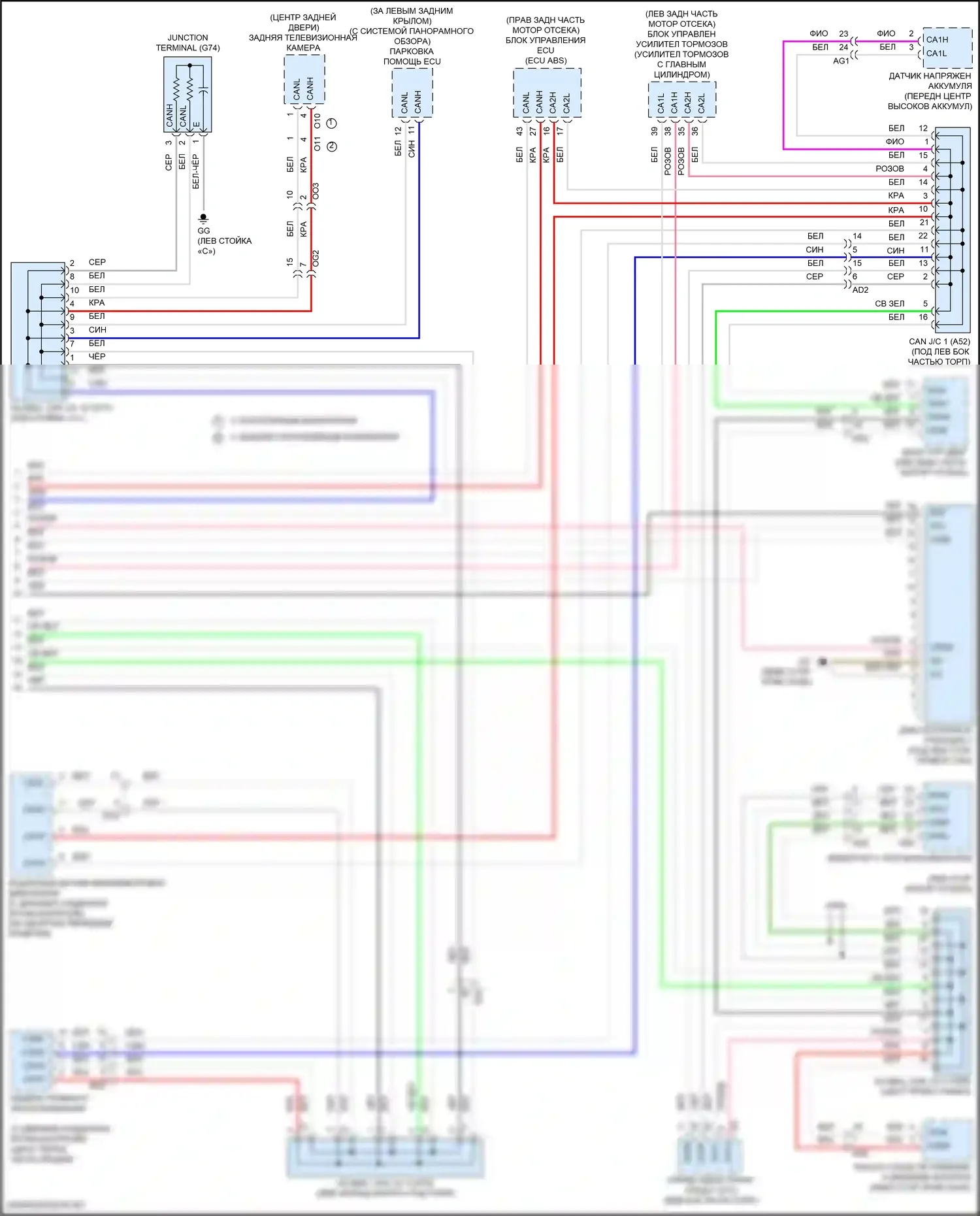 Sienna Toyota IV (2020-2024): Can шина электросхема (3 из 3) 
