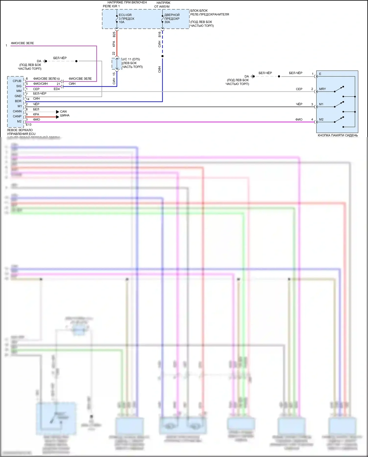 Sienna Toyota IV (2020-2024): Электросхема сиденья памяти (2 из 2) 