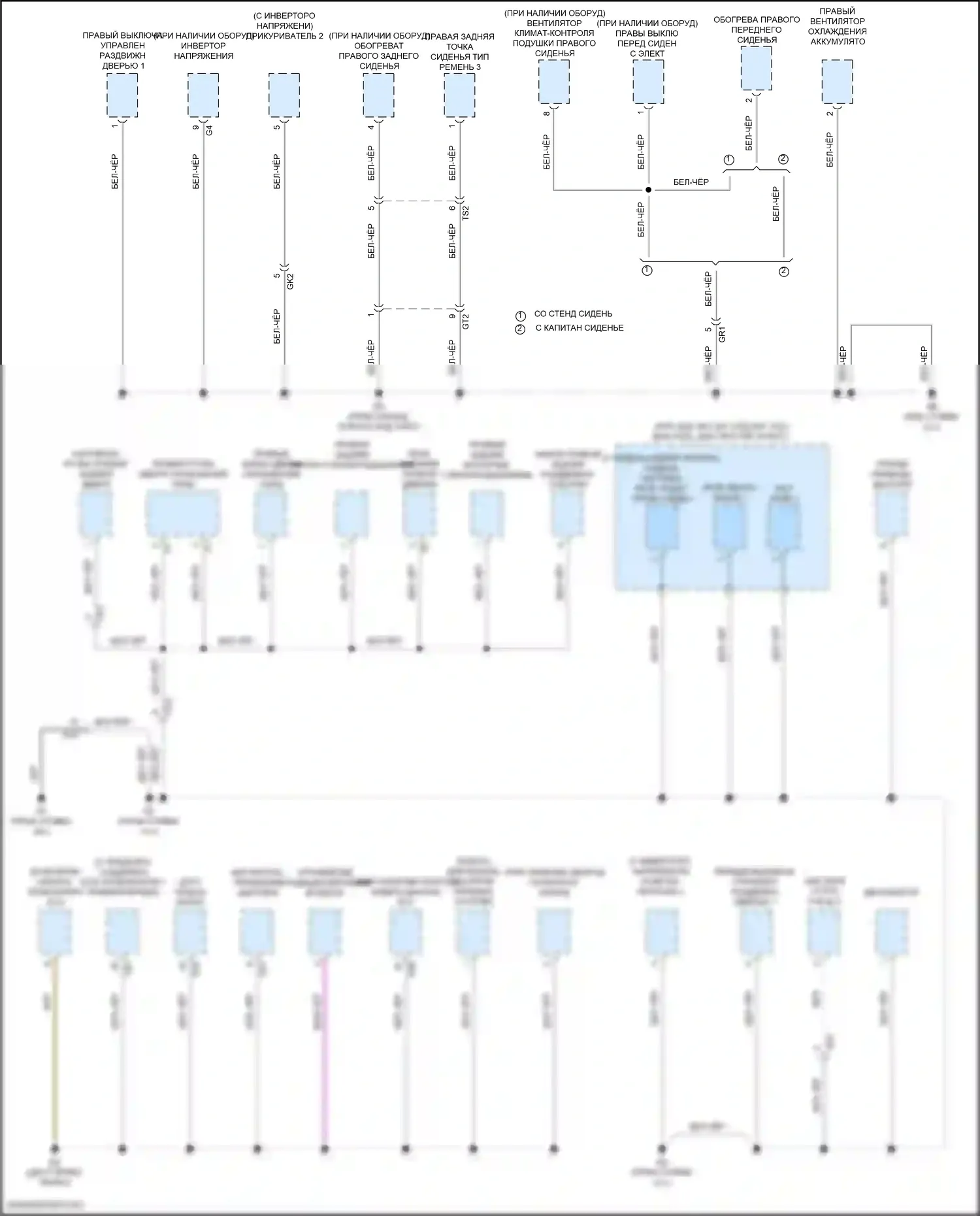 Sienna Toyota IV (2020-2024): Электросхема разводки массы (4 из 7) 
