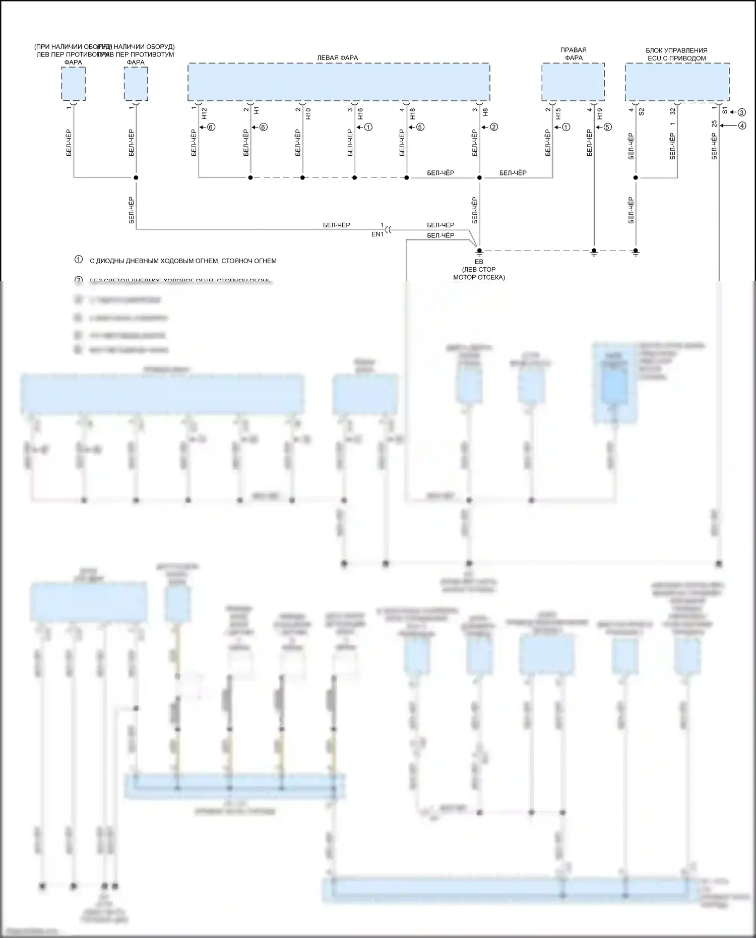 Tacoma Toyota IV (2023-2024): Электросхема разводки массы (4 из 6) 