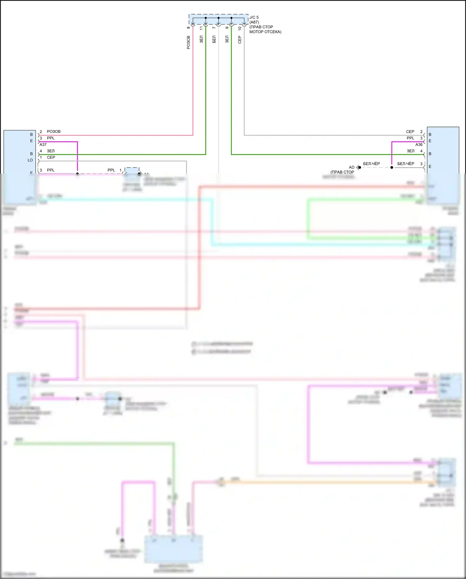 Tundra Toyota III (2021-2024): Электросхема фар, без фары ecu (3 из 3) 