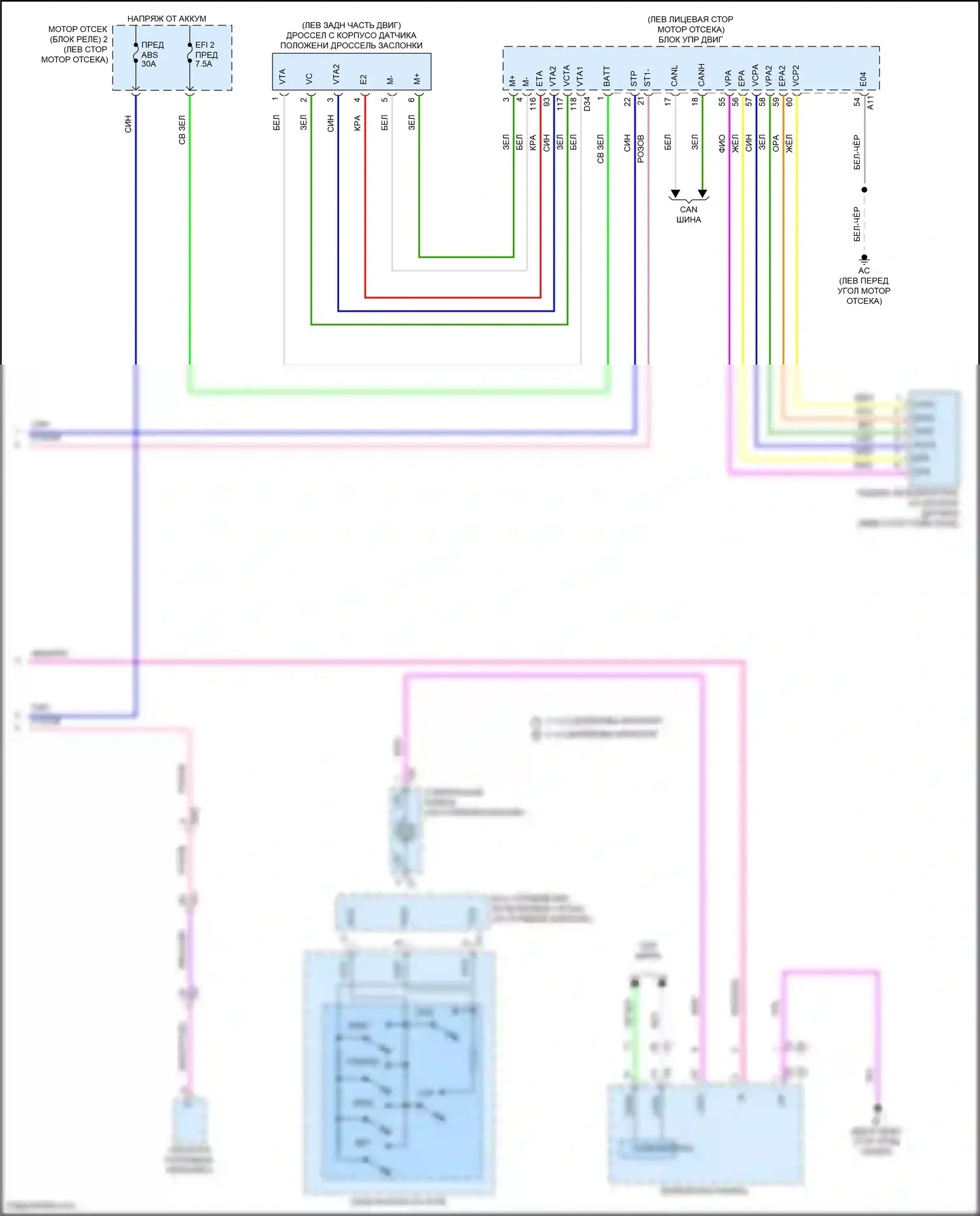 Tundra Toyota III (2021-2024): Электросхема круиз-контроля (2 из 2) 