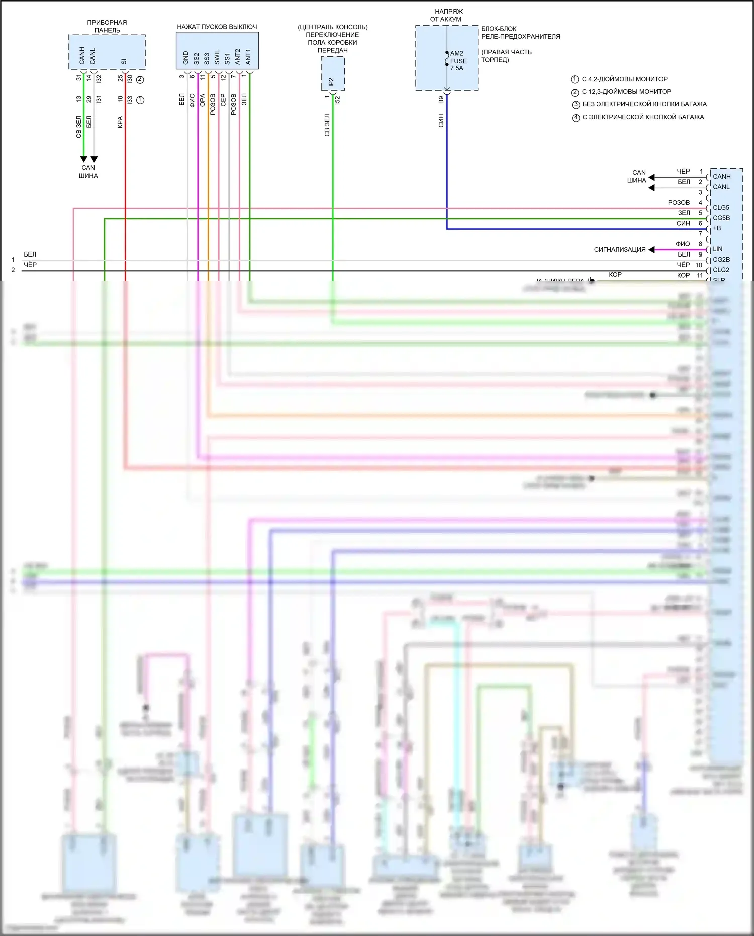 Tundra Toyota III (2021-2024): Электросхема защиты от взлома (5 из 5) 