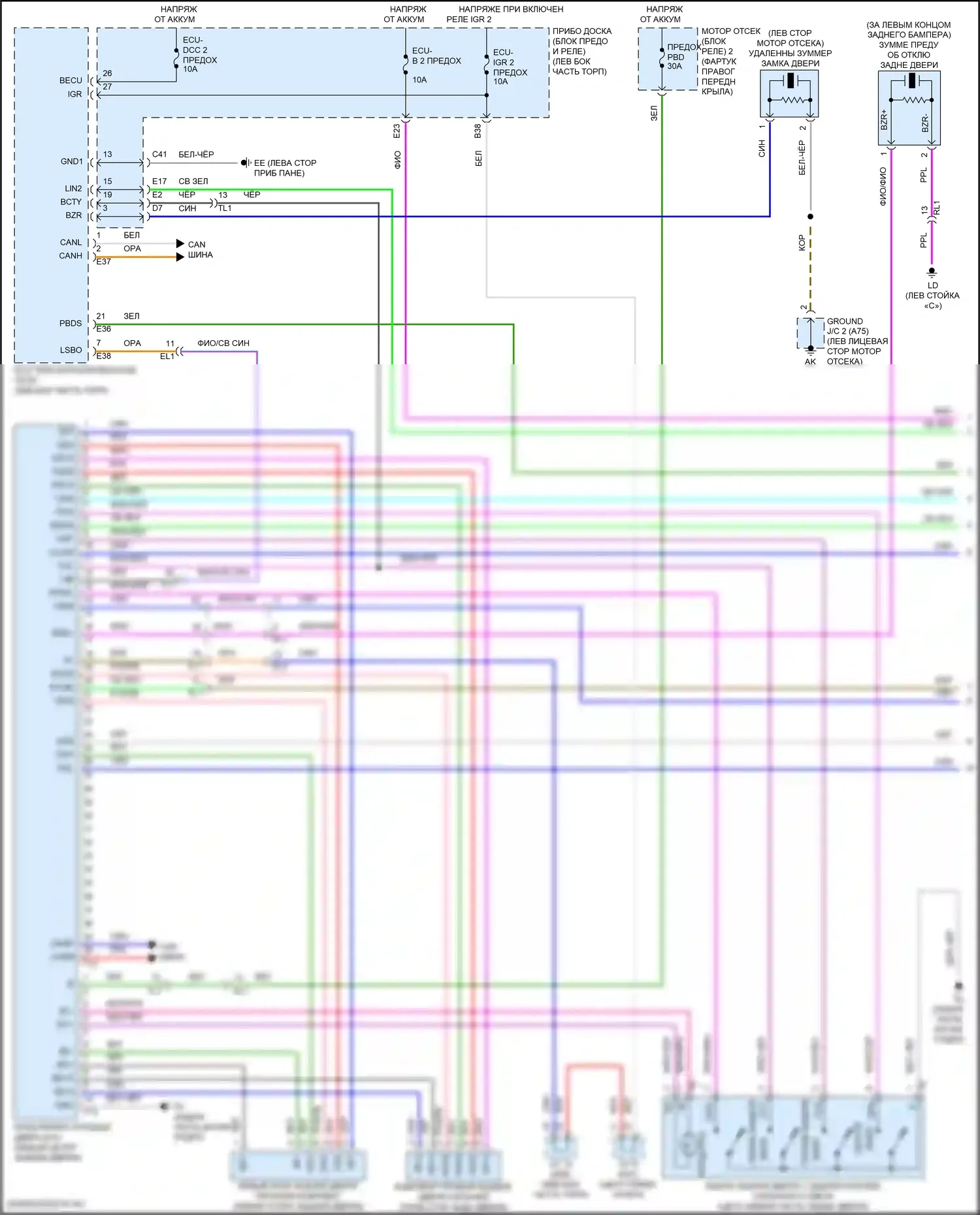 Venza Toyota II (2020-2024): Электросхема электромеханического замка задней двери (1 из 2) 