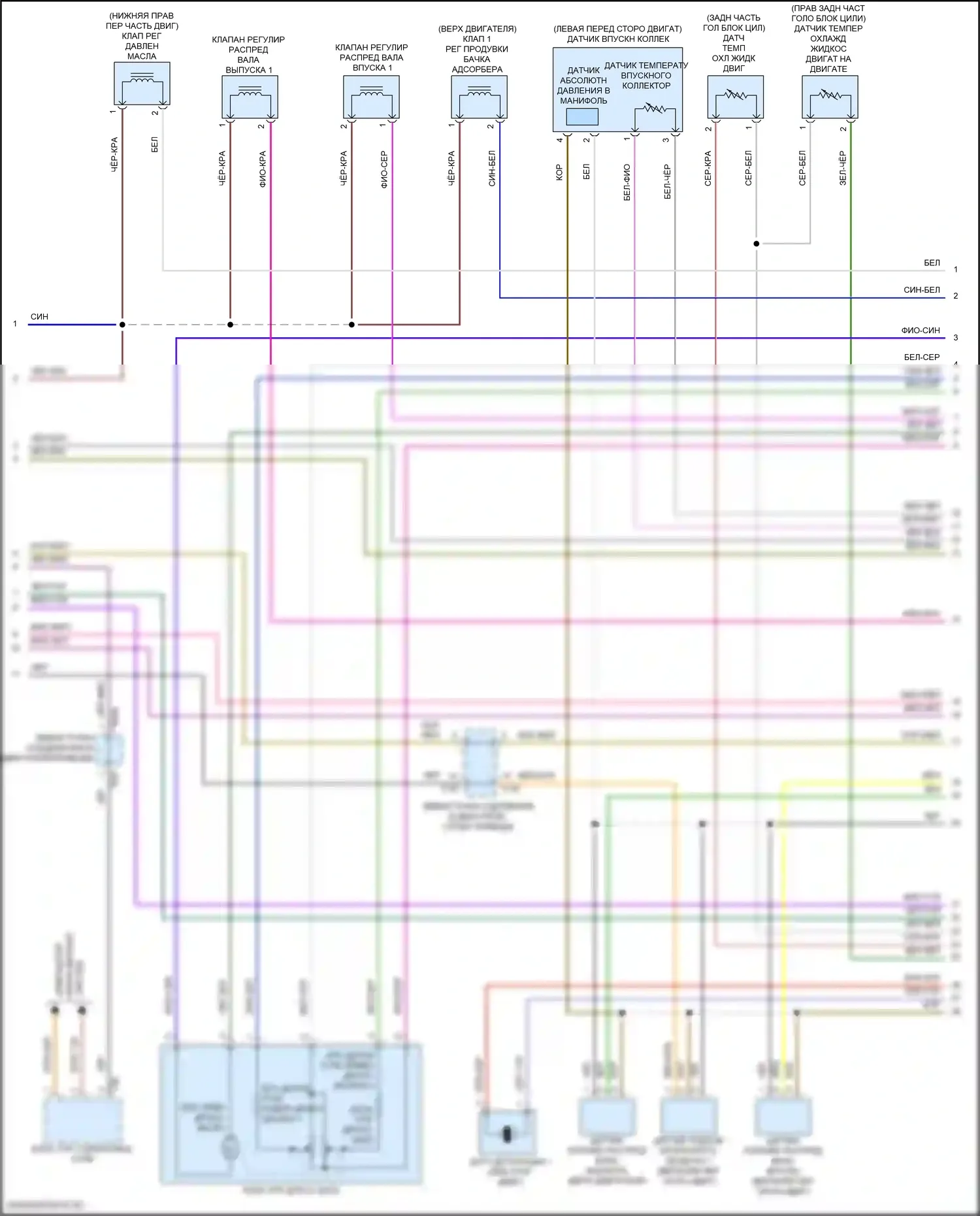 Taos Volkswagen I (2020-2024): Электросхема двигателя 1.5л турбо (5 из 7) 