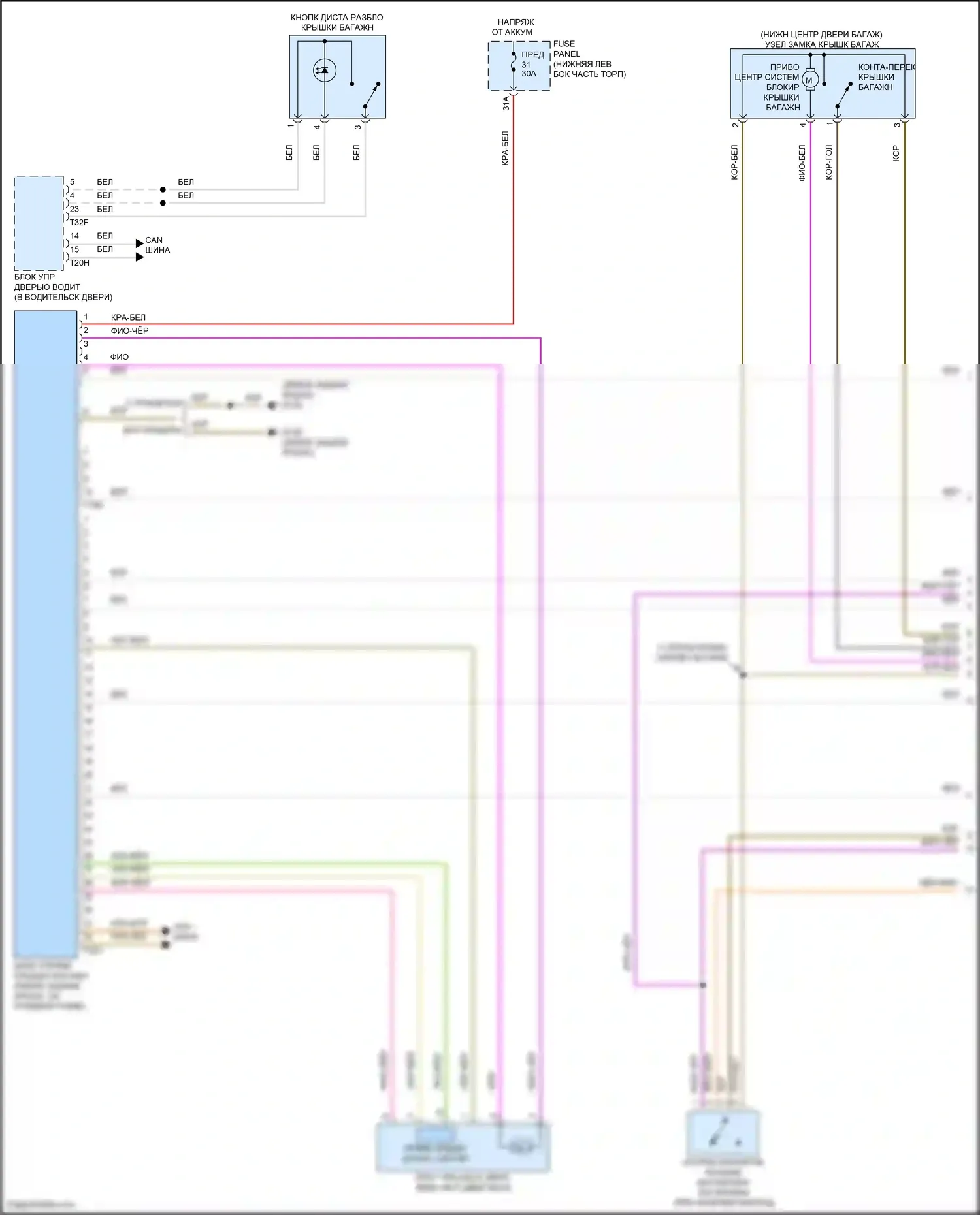 Tiguan X Volkswagen II рестайлинг (2020-2024): Электросхема открытия багажника и лючка топливного бака (1 из 3) 