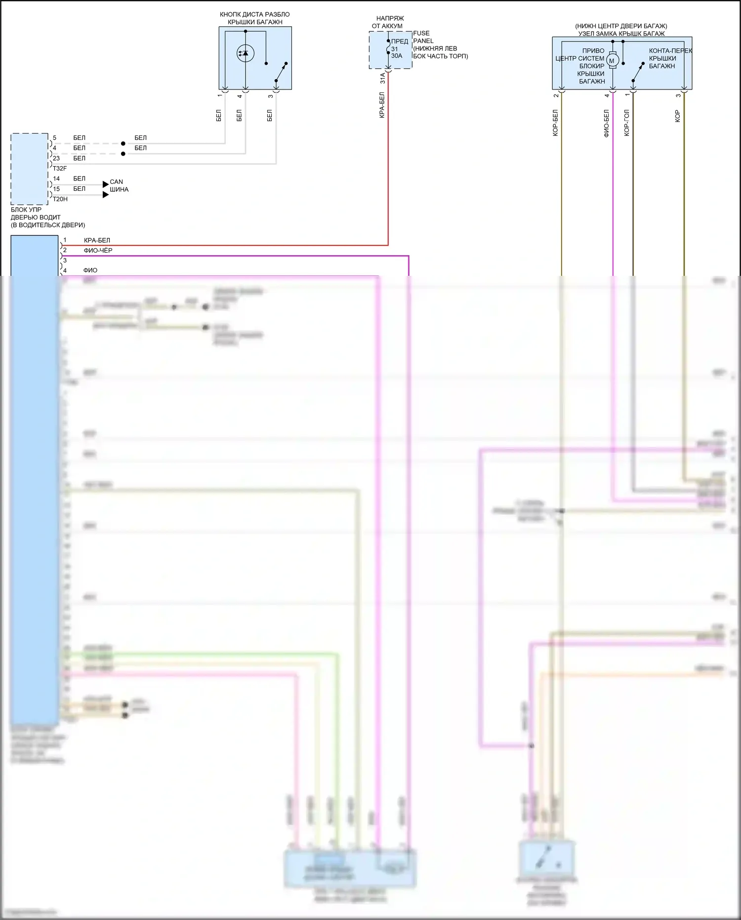 Tiguan Volkswagen II рестайлинг (2020-2024): Электросхема открытия багажника и лючка топливного бака (1 из 3) 