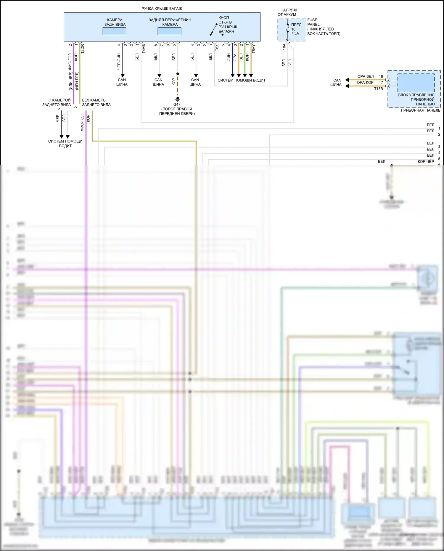Tiguan Volkswagen II (2016-2020): Электросхема открытия багажника и лючка топливного бака (2 из 3) 
